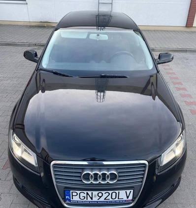 Audi A3 cena 27900 przebieg: 128000, rok produkcji 2010 z Gniezno małe 436